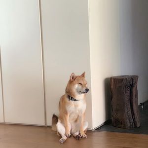 Meet your Posher, Kuan hua